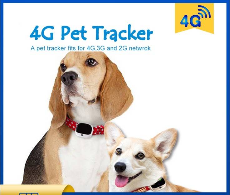 Waterproof 4G GPS Pets Tracker with Voice Monitor - V43 