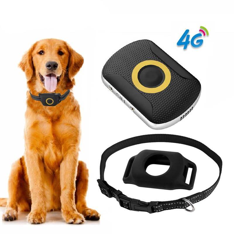 Waterproof 4G GPS Tracker – A29 Waterproof 4G GPS Tracker - A29